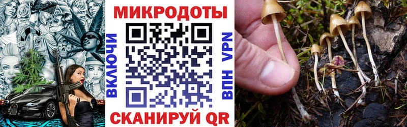 Псилоцибиновые грибы Psilocybe  Богданович 